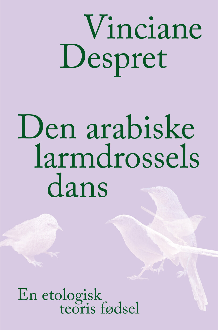 Den Arabiske Larmdrossels Dans