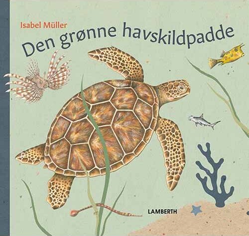 Den Grønne Havskildpadde