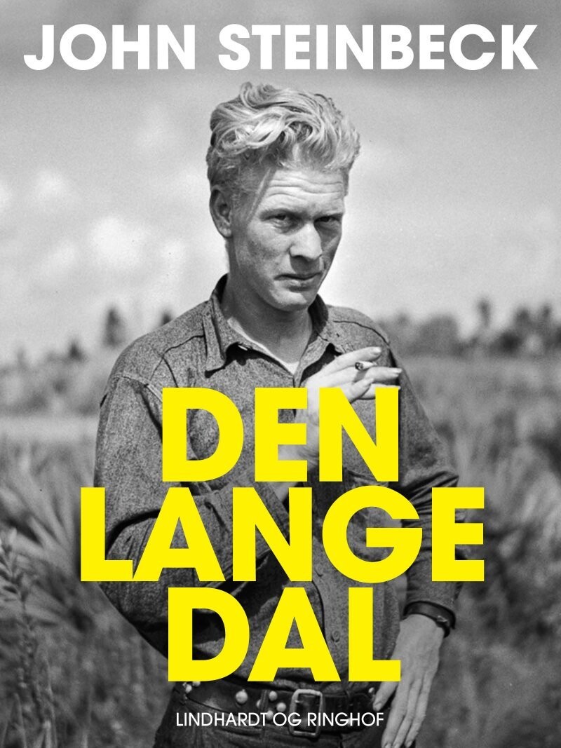 Den Lange Dal