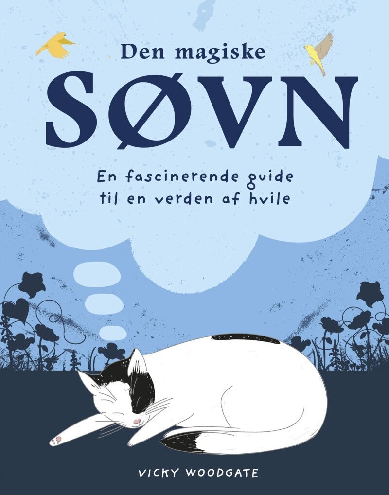 Den Magiske Søvn
