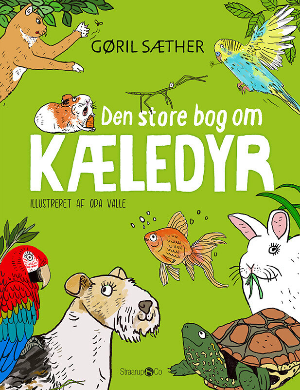 Den Store Bog Om Kæledyr
