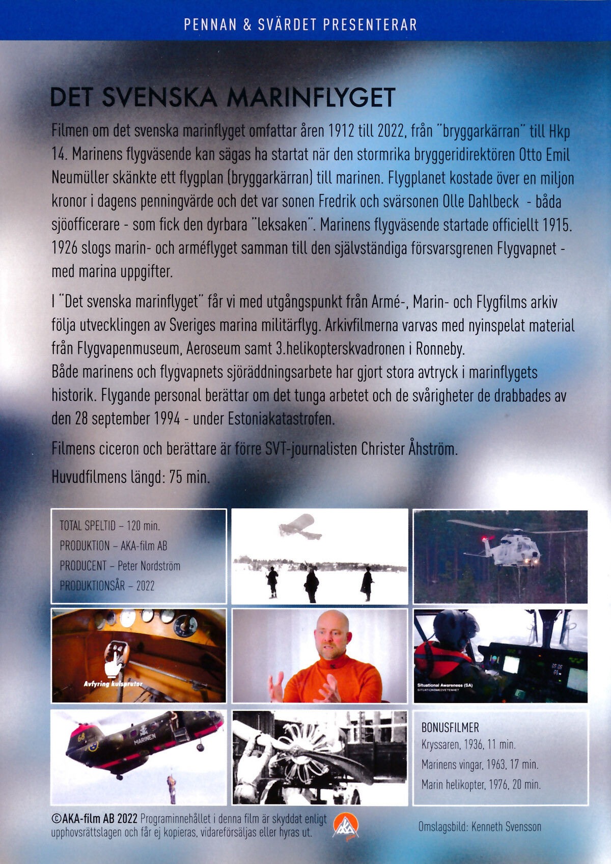 Den Svenska Marinflyget