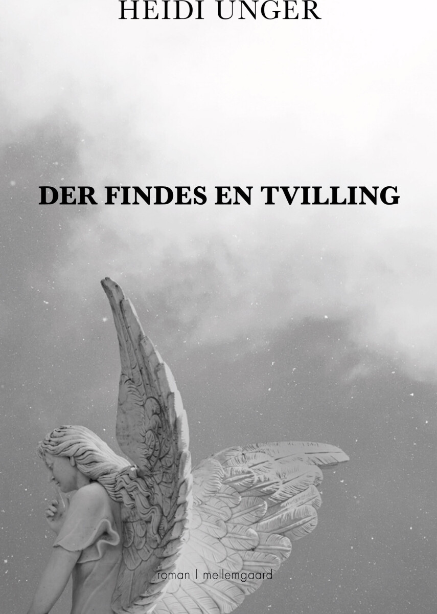 Der Findes En Tvilling