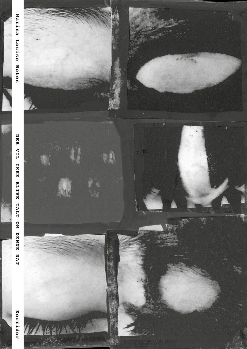 Der Vil Ikke Blive Talt Om Denne Nat