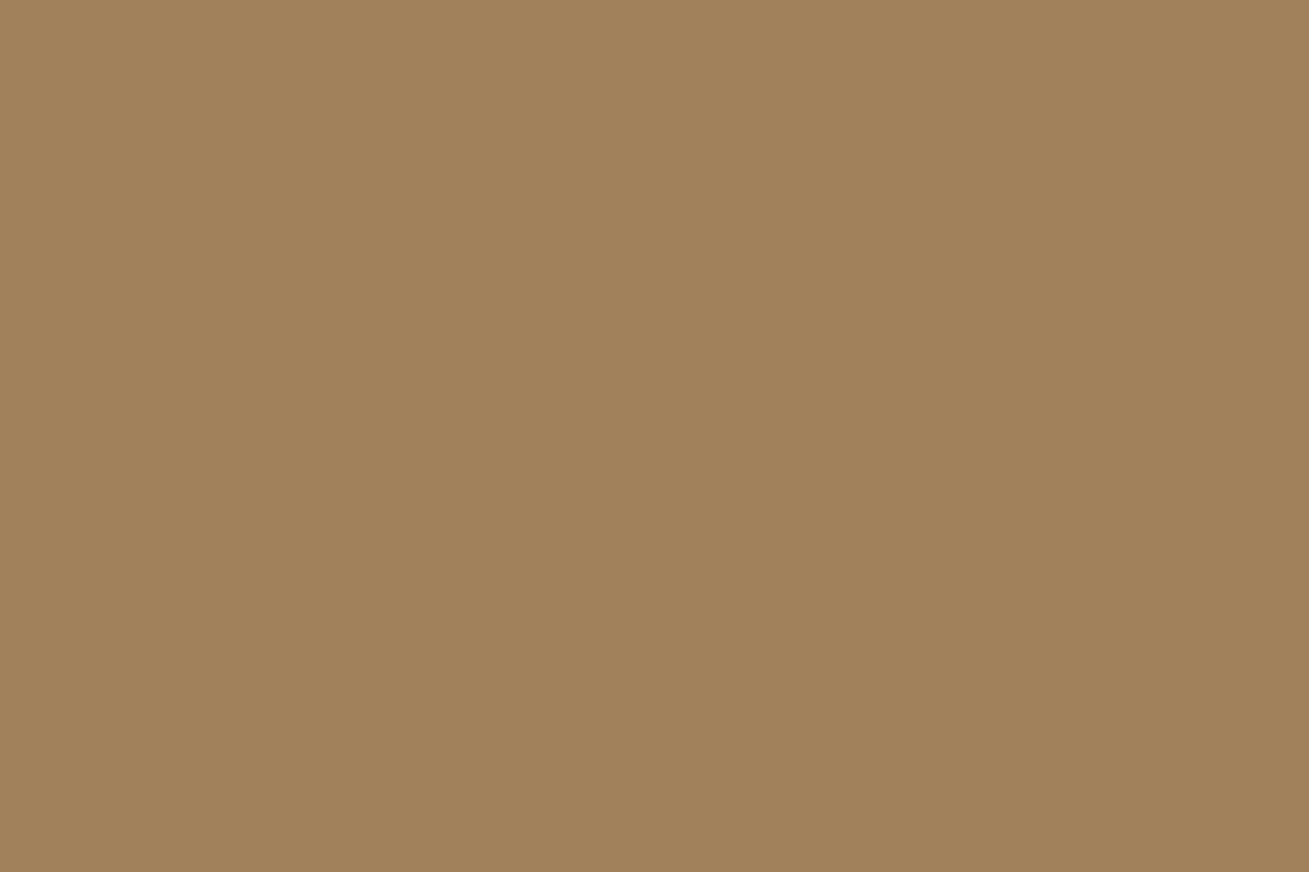 Vallejo - Model Color - Desert Brown Mat - 18 Ml - 70767