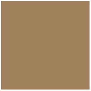 Vallejo - Model Color - Desert Brown Mat - 18 Ml - 70767