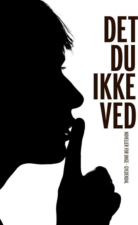 Det Du Ikke Ved