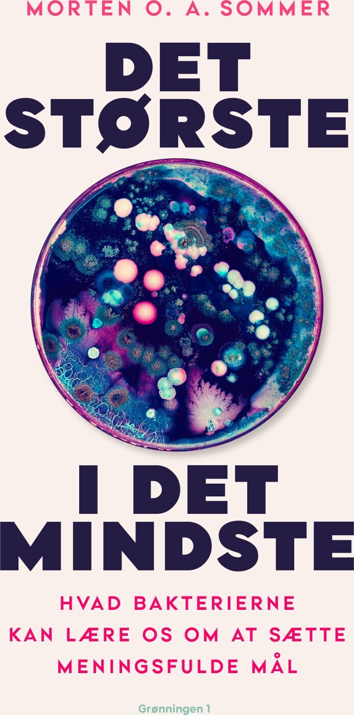 Det Største I Det Mindste