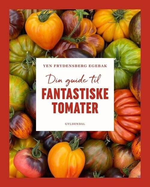 Din Guide Til Fantastiske Tomater