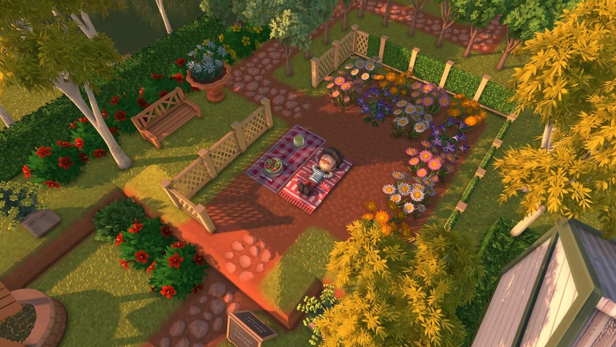 Dinkum Day 1 Edition