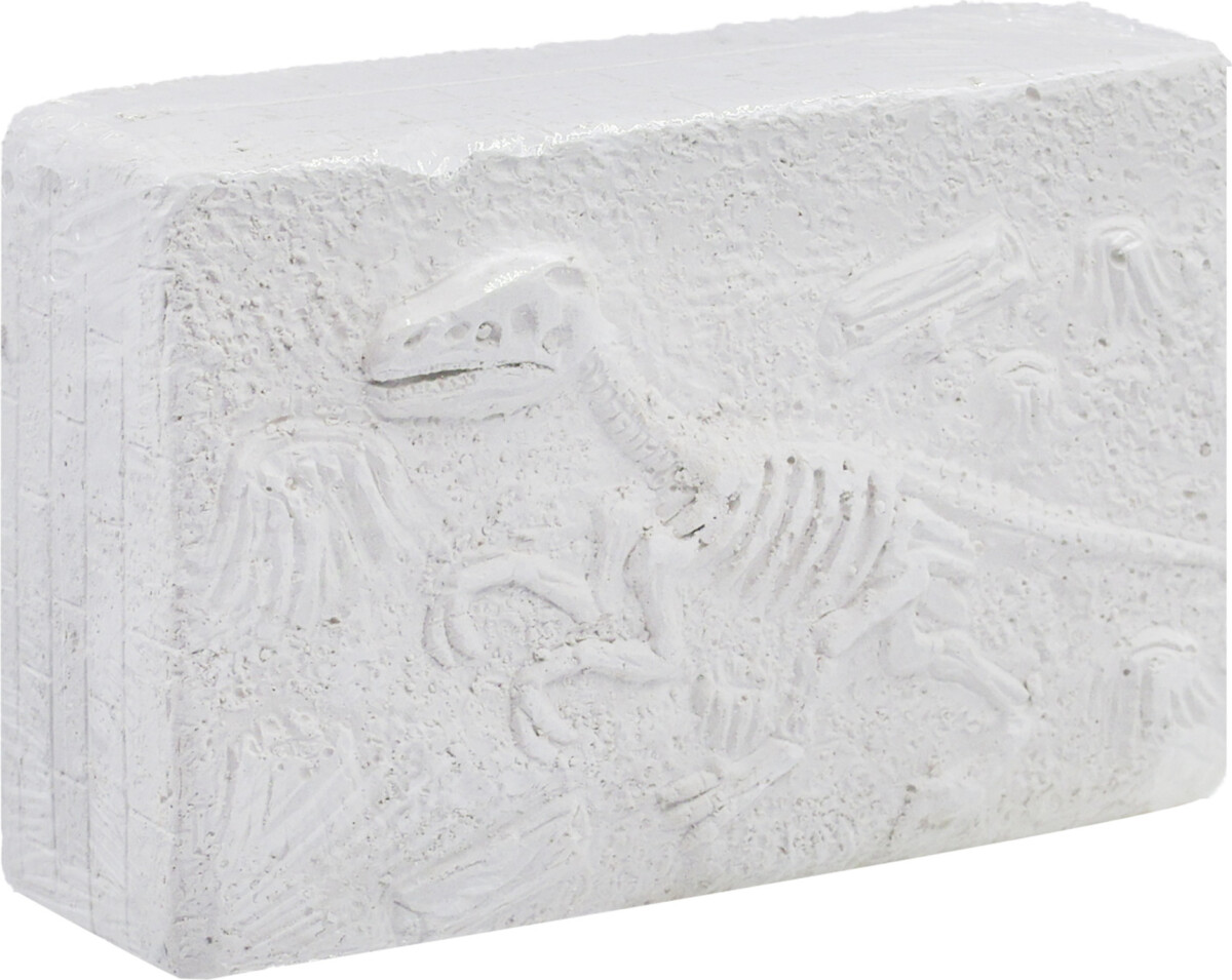 Dinosaur Udgravningssæt Til Børn