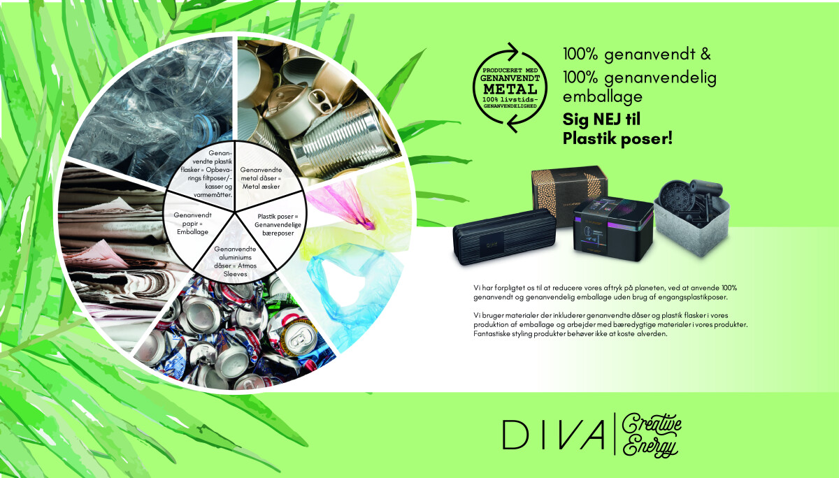 Diva - Ultra Fast Intelligent Digital Styler