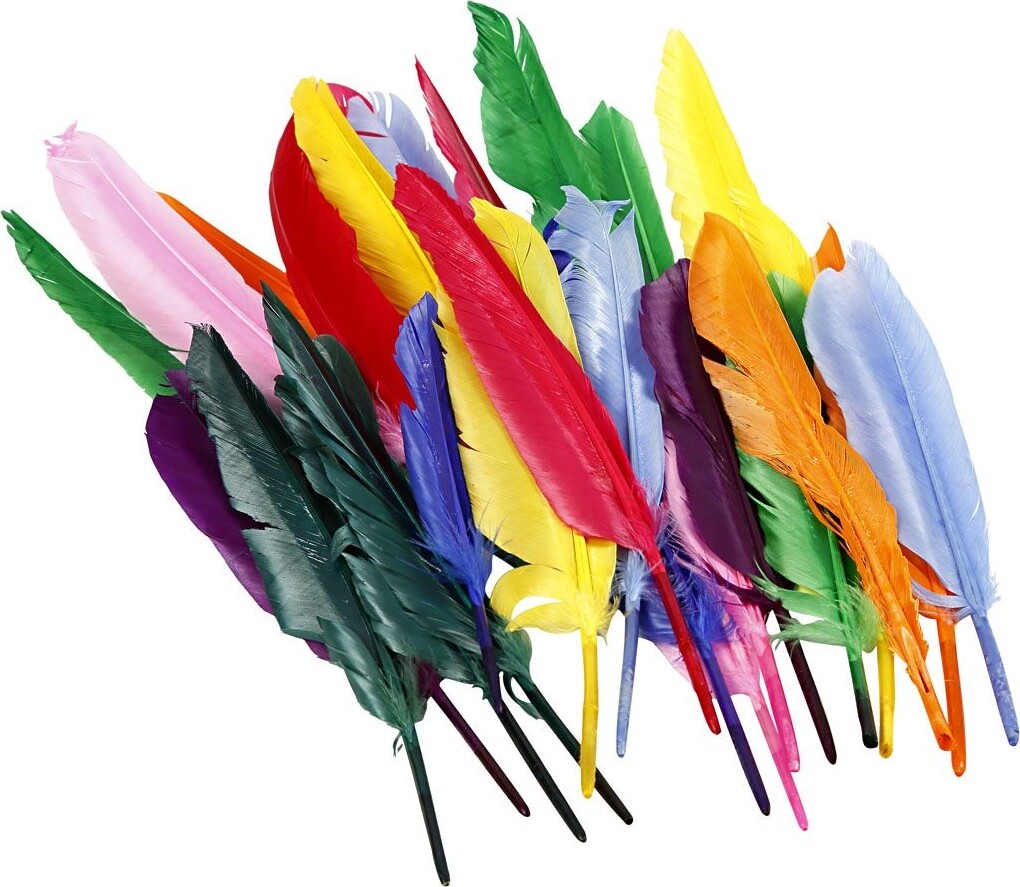 Fjer - 17-20 Cm - 250 Stk