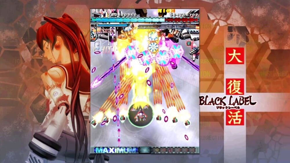 Dodonpachi Daiffukatsu Import