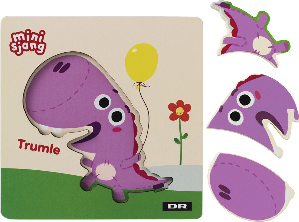 Dr - Træpuslespil - 4 Assorterede