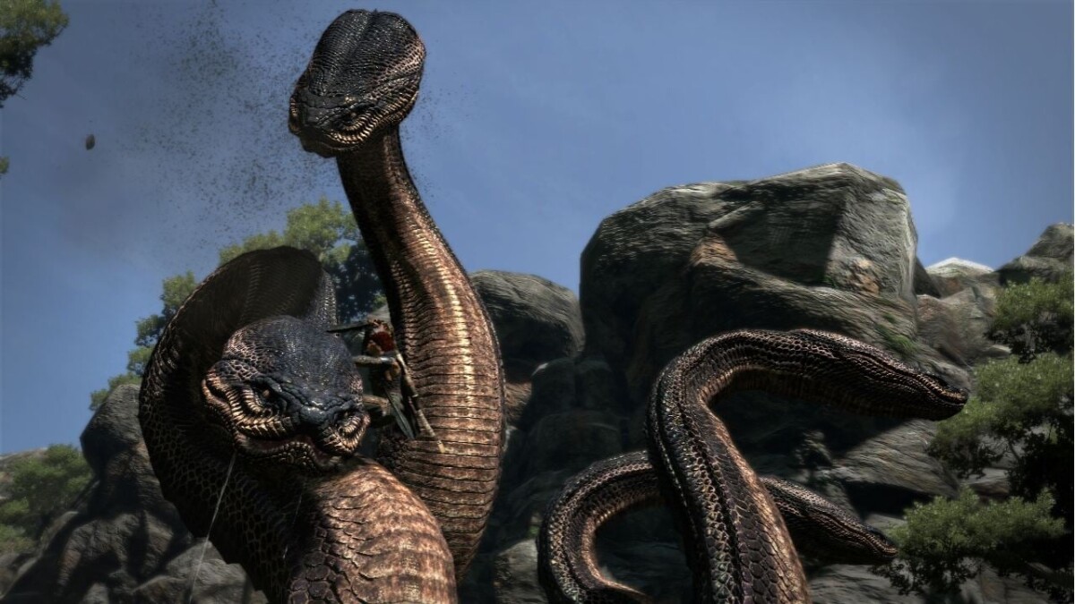Dragon S Dogma Import
