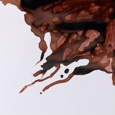 Winsor Newton - Tegne Blæk - 14 Ml - Nødde Brun