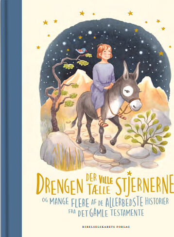 Drengen Der Ville Tælle Stjernerne