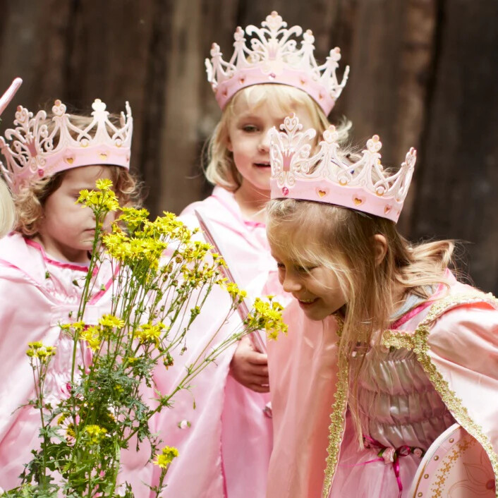 Liontouch - Dronningekrone - Dronning Rosa-Serien