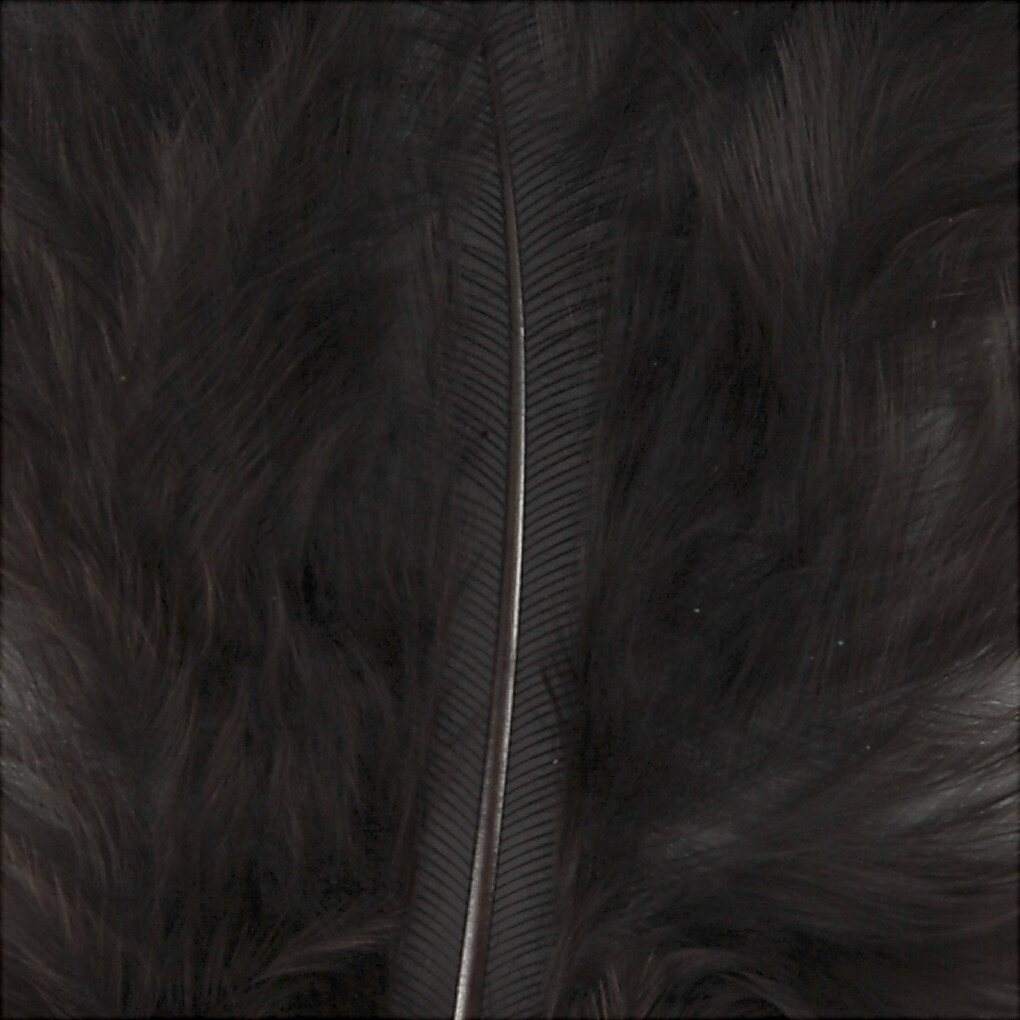 Dun - L 5-12 Cm - Sort - 15 Stk