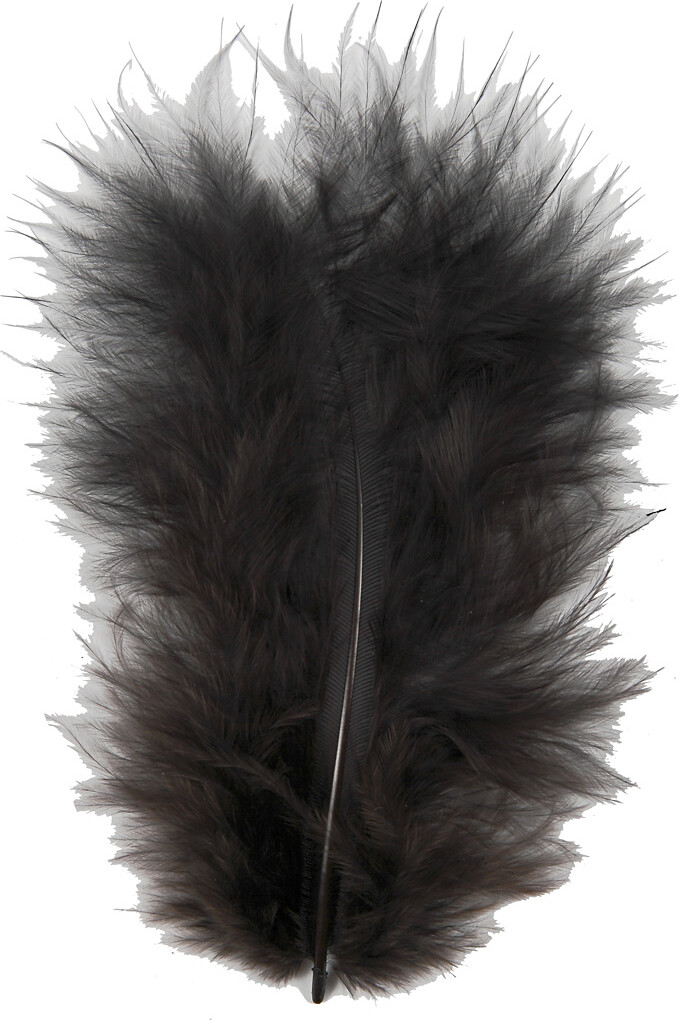 Dun - L 5-12 Cm - Sort - 15 Stk