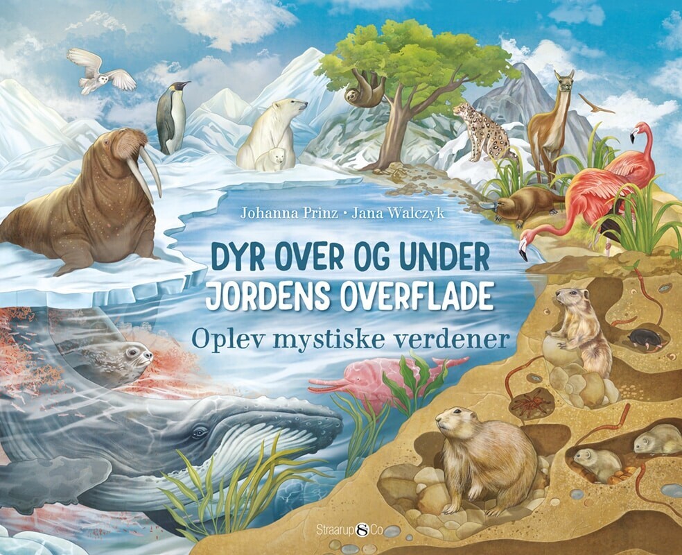 Dyr Over Og Under Jordens Overflade