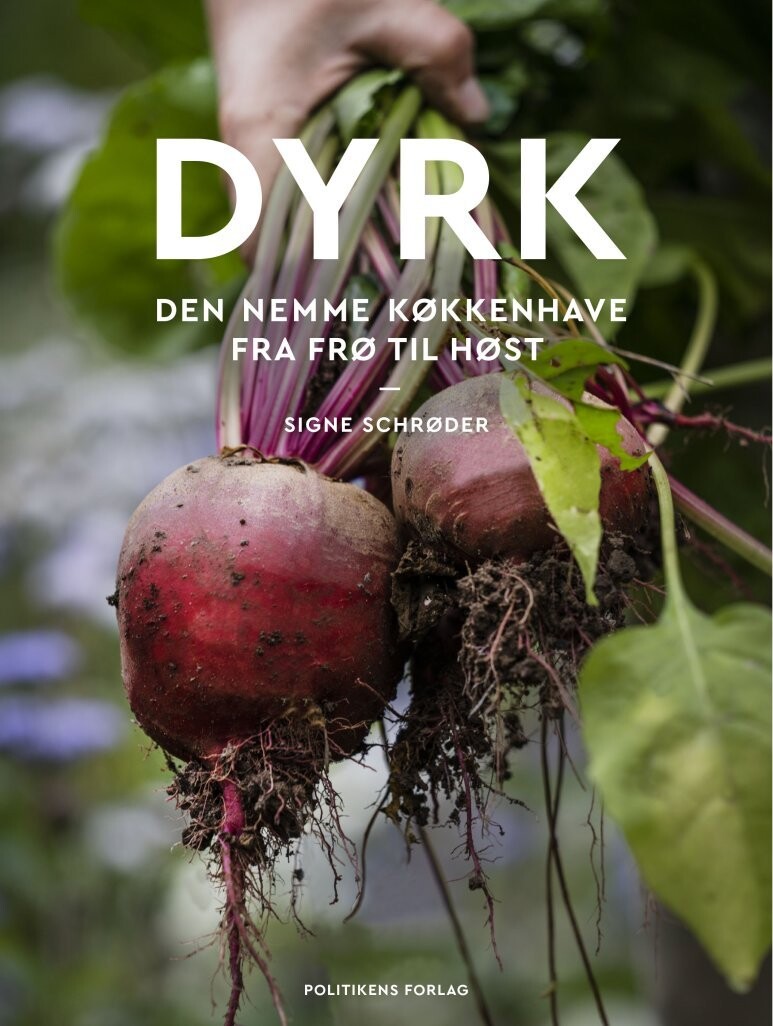 Dyrk