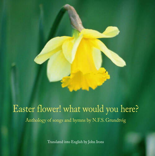 Easter Flower What Would You Here