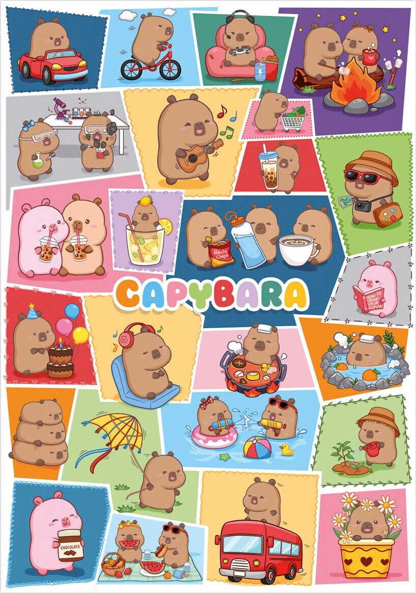 Educa 300 Capyfun