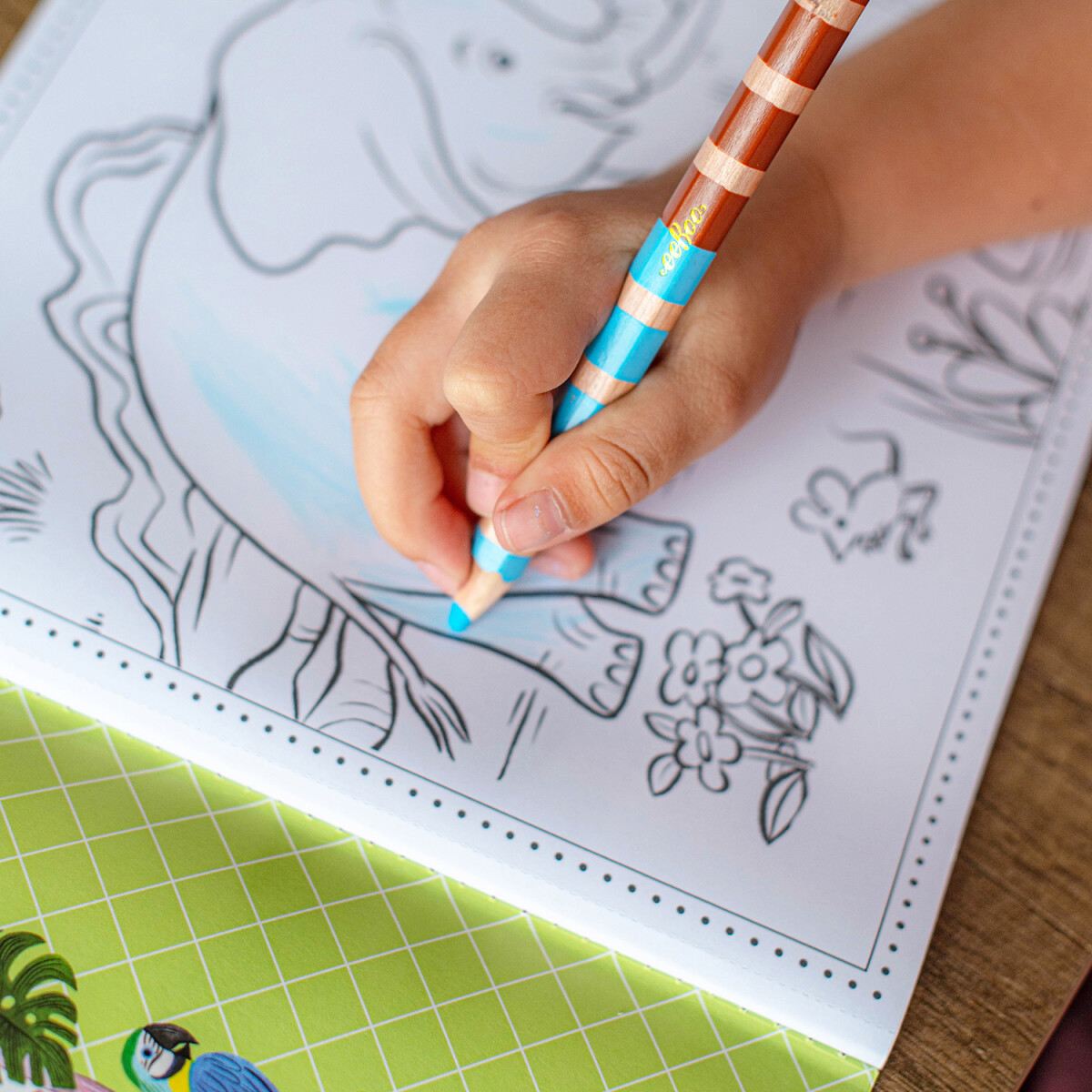Eeboo - Early Learner Wild Animals Coloring Book - Malebog