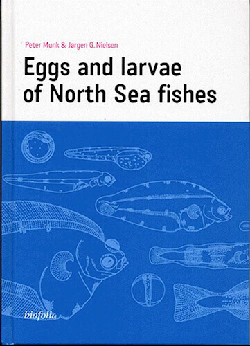Eggs And Larvae Of North Sea Fishes