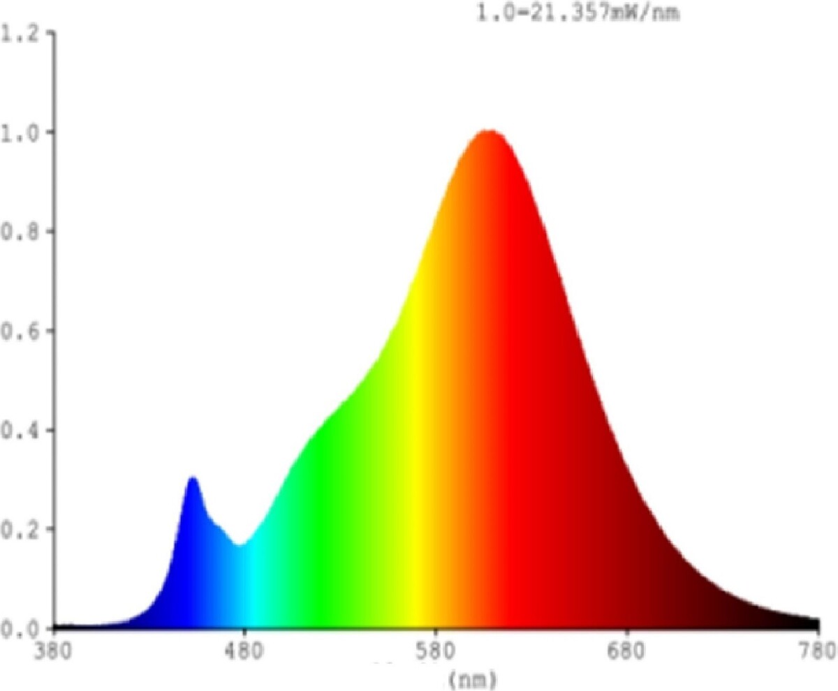Eglo - G95 - E27 Led Pære - Klar Varm Hvid - Dæmpbar - Zigbee Bt