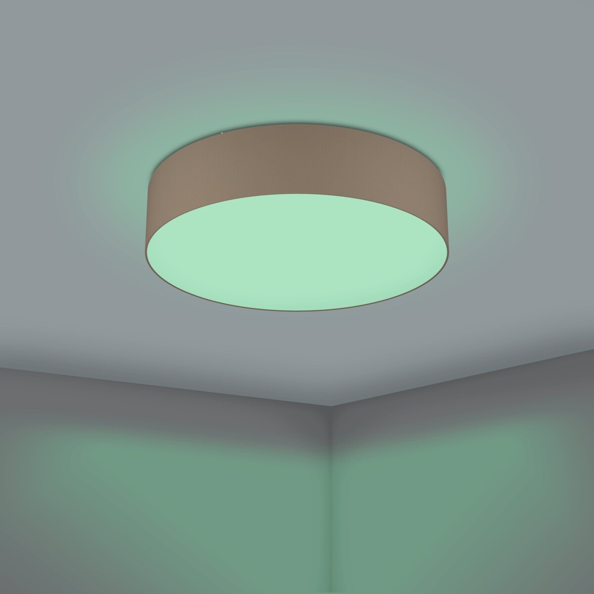 Eglo Romao-Z Loftlampe Ø57 - Rgb Tw - Smart Belysning Med Zigbee Bluetooth