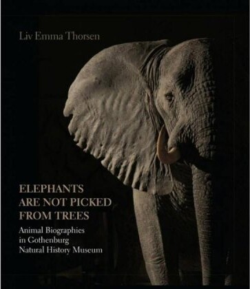 Elephants Are Not Picked From Trees