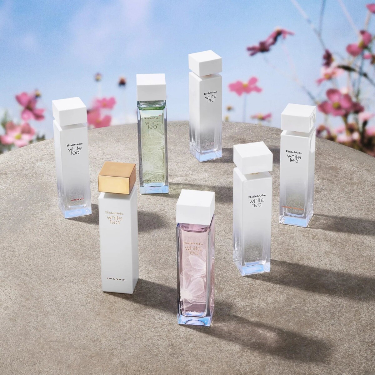 Elizabeth Arden - White Tea Eau Florale 50 Ml Edt Spray