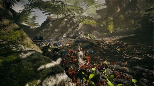 Empire Of The Ants