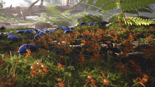 Empire Of The Ants