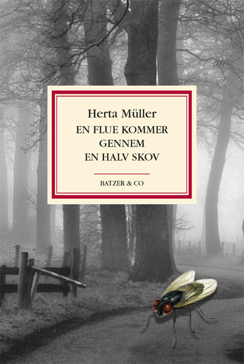 En Flue Kommer Gennem En Halv Skov