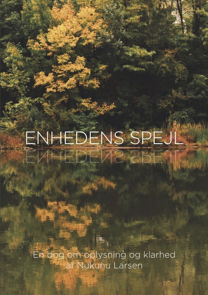 Enhedens Spejl