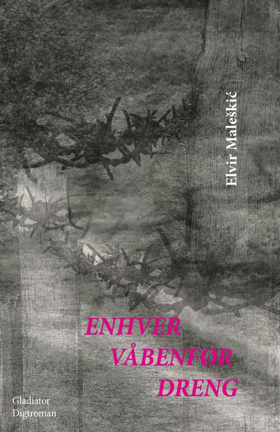 Enhver Våbenfør Dreng