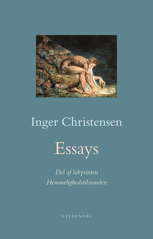 Essays Hemmelighedstilstanden Del Af Labyrinten
