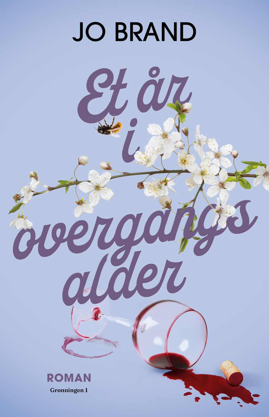 Et År I Overgangsalder