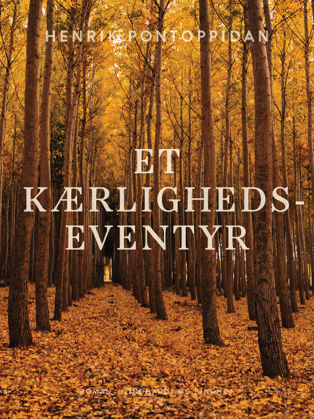 Et Kærlighedseventyr