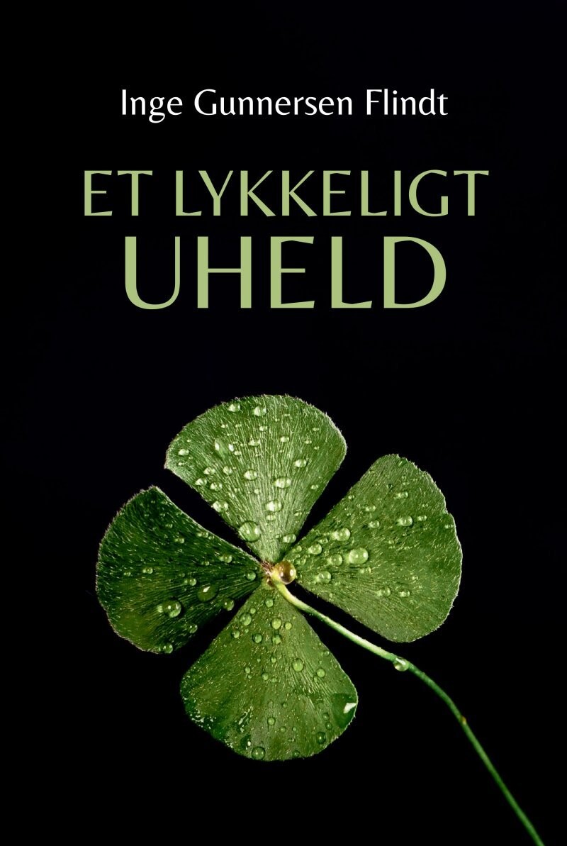 Et Lykkeligt Uheld