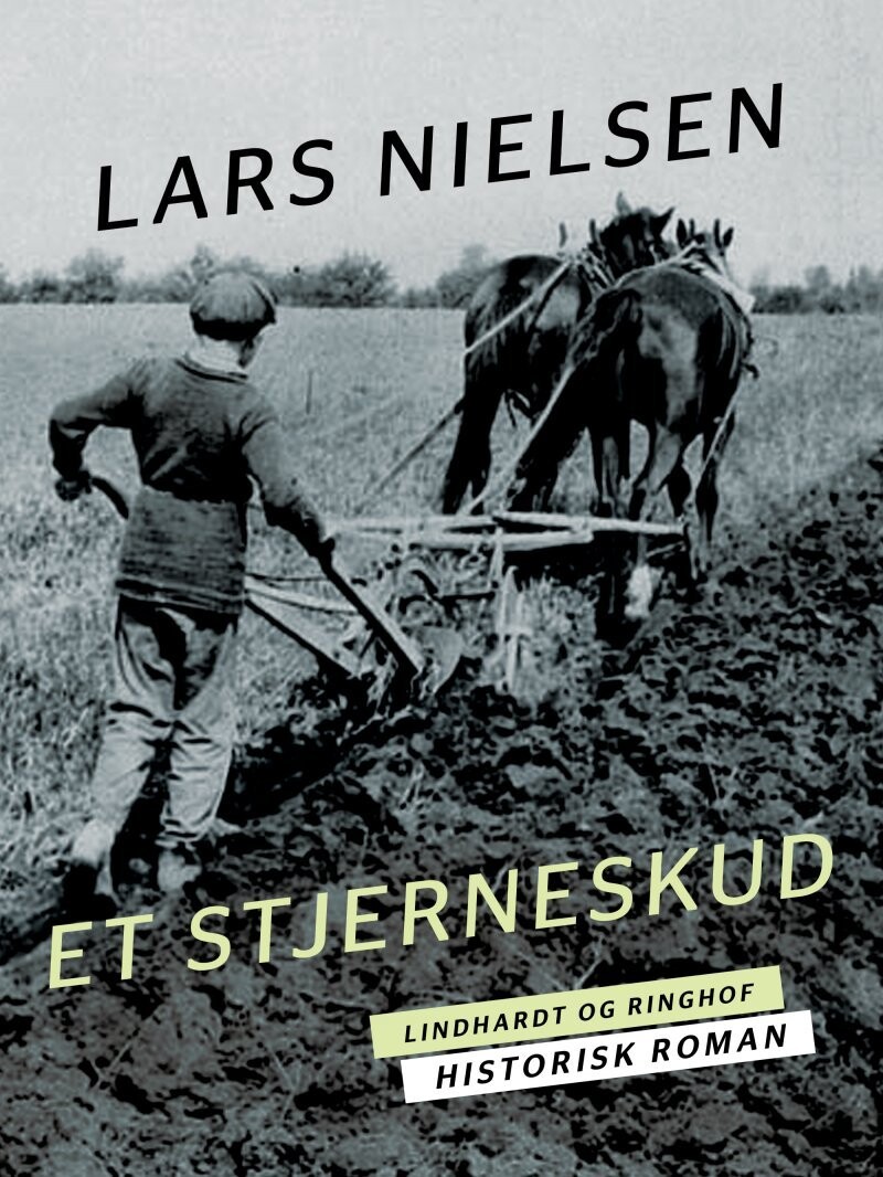 Et Stjerneskud