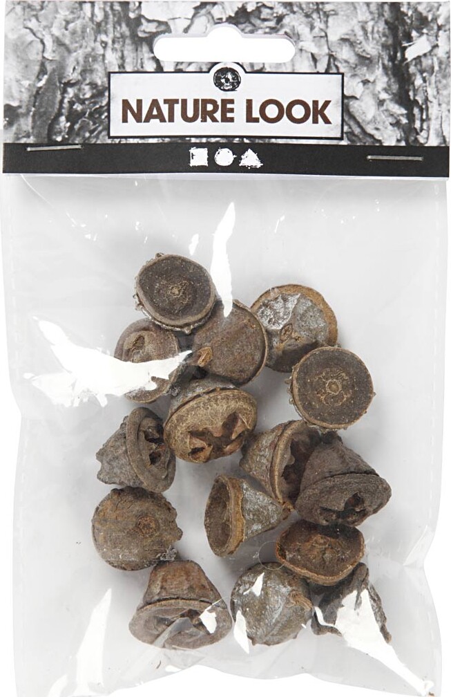 Eucalyptuskogler - 25 G