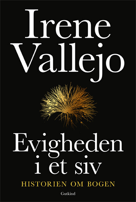 Evigheden I Et Siv