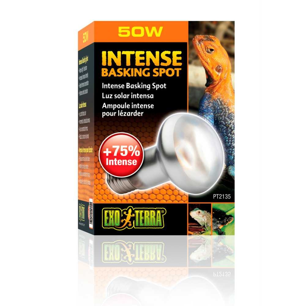 Exo Terra - Terrarium Spotlys - Intense - S20 E27 - 50W