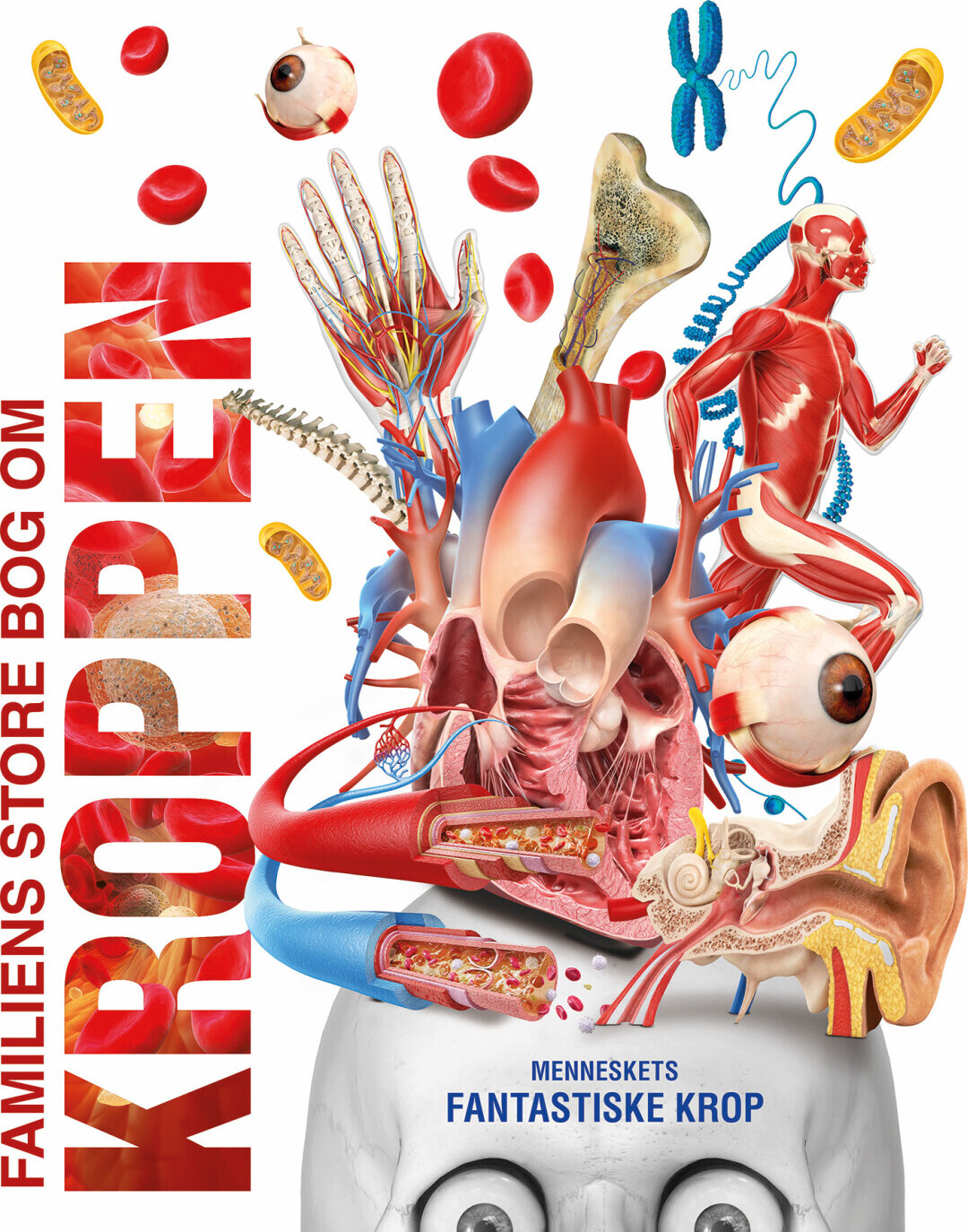 Familiens Store Bog Om Kroppen