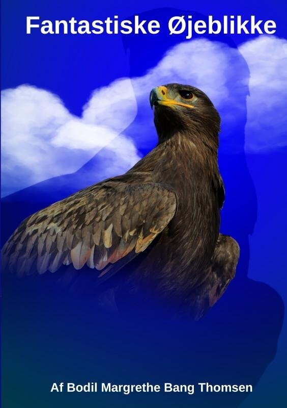 Fantastiske Øjeblikke